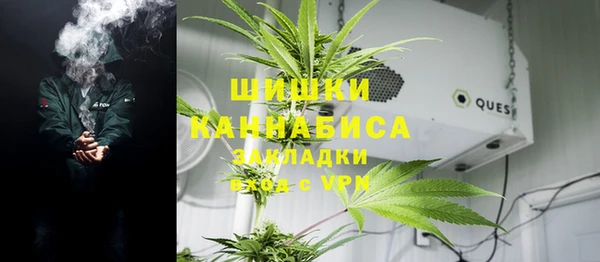 хмурый Инта