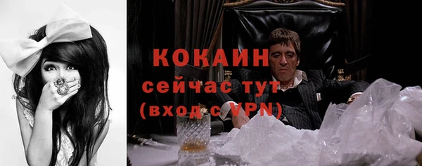 хмурый Инта