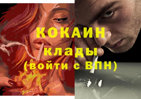 хмурый Инта