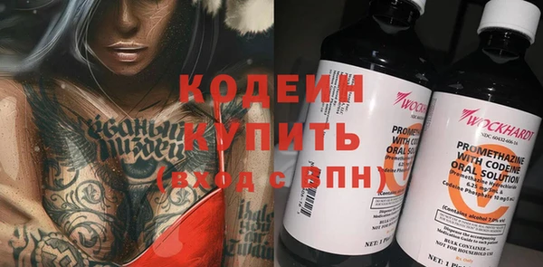 хмурый Инта