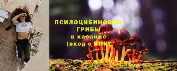 сатива Березники