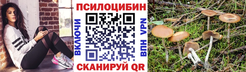 Галлюциногенные грибы Magic Shrooms  Купить закладки  Дивногорск 